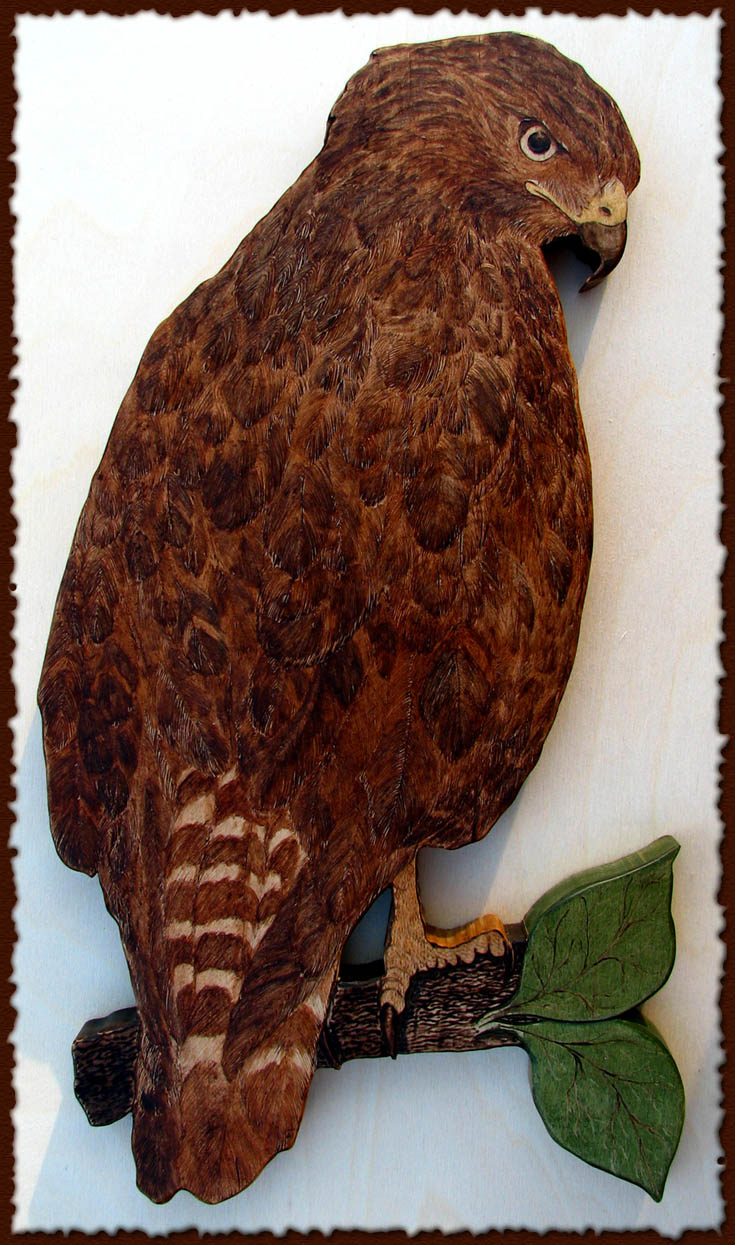 buteo donation habitat for humanity tanja sova pyrography